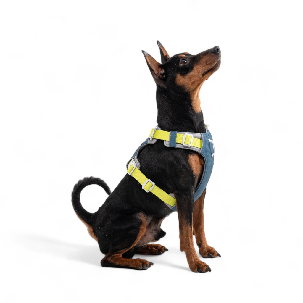 Alpha360Harness_DeepTealMix_HRNSAL163-LHRNSAL163-MHRNSAL163-SHRNSAL163-XLHRNSAL163-XS_-39.webp