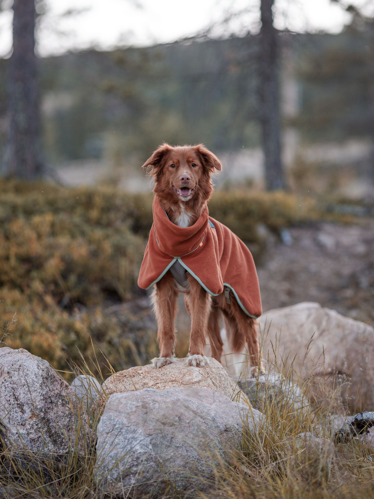 Alpha 360 Fleece Pullover, Terracotta Mix (FPOAL142-27 FPOAL142-30 FPOAL142-34 FPOAL142-40 FPOAL142-45 FPOAL142-50 FPOAL142-57 FPOAL142-65 FPOAL142-70)-1.webp