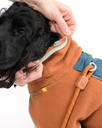 Alpha 360 Fleece Pullover, Terracotta Mix (FPOAL142-27 FPOAL142-30 FPOAL142-34 FPOAL142-40 FPOAL142-45 FPOAL142-50 FPOAL142-57 FPOAL142-65 FPOAL142-70)-38.webp