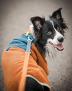Alpha 360 Fleece Pullover, Terracotta Mix (FPOAL142-27 FPOAL142-30 FPOAL142-34 FPOAL142-40 FPOAL142-45 FPOAL142-50 FPOAL142-57 FPOAL142-65 FPOAL142-70)-49.webp