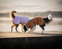 Alpha 360 Fleece Pullover, Terracotta Mix (FPOAL142-27 FPOAL142-30 FPOAL142-34 FPOAL142-40 FPOAL142-45 FPOAL142-50 FPOAL142-57 FPOAL142-65 FPOAL142-70)-77.webp