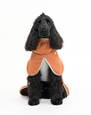 Alpha 360 Fleece Pullover, Terracotta Mix (FPOAL142-27 FPOAL142-30 FPOAL142-34 FPOAL142-40 FPOAL142-45 FPOAL142-50 FPOAL142-57 FPOAL142-65 FPOAL142-70)-33.webp
