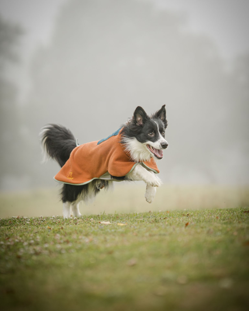 Alpha 360 Fleece Pullover, Terracotta Mix (FPOAL142-27 FPOAL142-30 FPOAL142-34 FPOAL142-40 FPOAL142-45 FPOAL142-50 FPOAL142-57 FPOAL142-65 FPOAL142-70)-66.webp