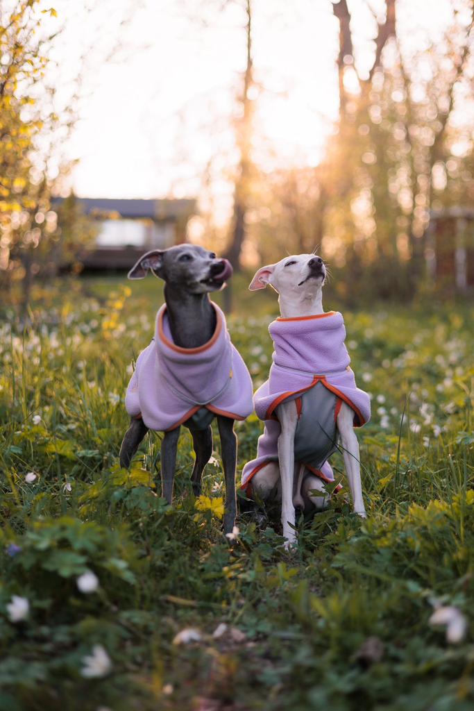 Alpha 360 Fleece Pullover, Lavender Mix (FPOAL194-27 FPOAL194-30 FPOAL194-34 FPOAL194-40 FPOAL194-45 FPOAL194-50 FPOAL194-57 FPOAL194-65 FPOAL194-70)-41.webp