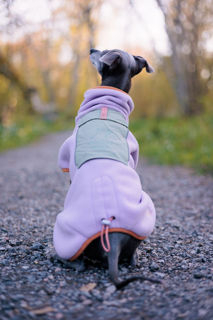 Alpha 360 Fleece Pullover, Lavender Mix (FPOAL194-27 FPOAL194-30 FPOAL194-34 FPOAL194-40 FPOAL194-45 FPOAL194-50 FPOAL194-57 FPOAL194-65 FPOAL194-70)-34.webp